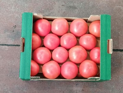 Foto Pomodoro Da Riso Origine Turchia Marchio Lenas Fruit 3